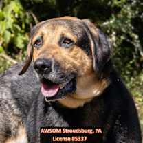 Thumbnail photo of Bryce #3