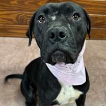 Thumbnail photo of Keke #3