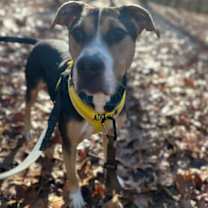 Thumbnail photo of Peeps #3