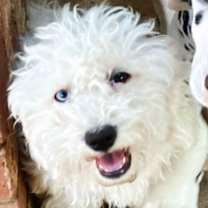 Thumbnail photo of Ella 🩵 #1