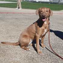 Thumbnail photo of Maya #1