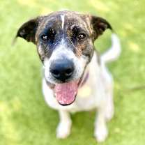 Thumbnail photo of Colette #1