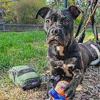 Thumbnail photo of Christian #4