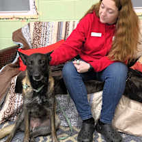 Thumbnail photo of Rogue #3