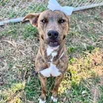 Thumbnail photo of Macey #3