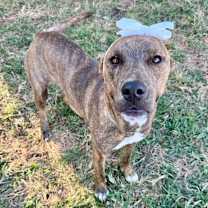 Thumbnail photo of Macey #4