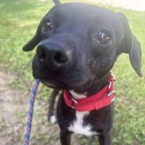 Thumbnail photo of Gretchen #1