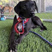 Thumbnail photo of Gretchen #3