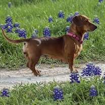 Thumbnail photo of Paige #2