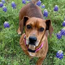 Thumbnail photo of Paige #4