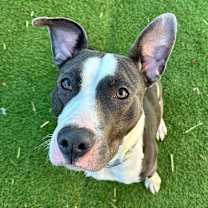 Thumbnail photo of Adam #1