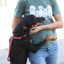 Thumbnail photo of LUCAS #2