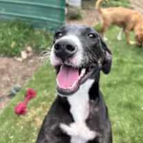 Thumbnail photo of Gigi #1