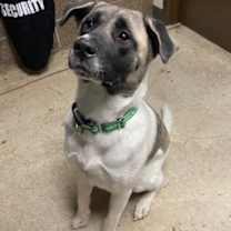 Thumbnail photo of Kuma #3