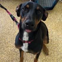 Thumbnail photo of Zenon FOSTER #1