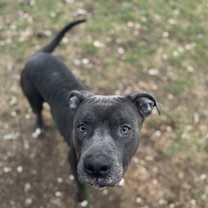 Thumbnail photo of Denali #1