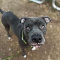 Thumbnail photo of Denali #2