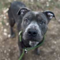 Thumbnail photo of Mayhem** #2