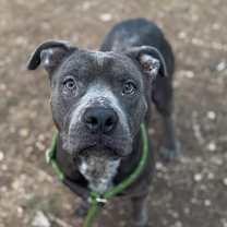 Thumbnail photo of Mayhem** #3