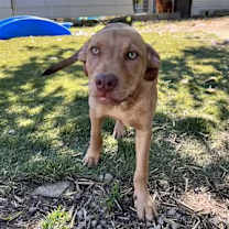 Thumbnail photo of Woody #2