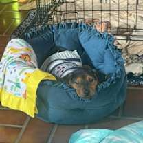 Thumbnail photo of Felicity #2