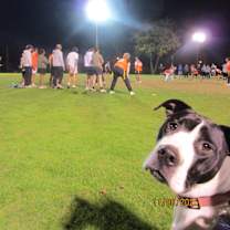 Thumbnail photo of Milli #1