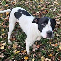 Thumbnail photo of Milli #3