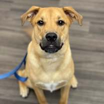 Thumbnail photo of Roscoe #2