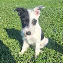 Thumbnail photo of MIKKI #2