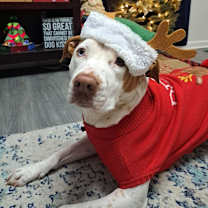 Thumbnail photo of Heidi DJ* #1