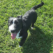 Thumbnail photo of REX #3