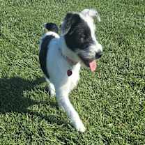 Thumbnail photo of MIKKI #4