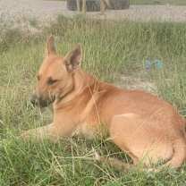 Thumbnail photo of Cusco #2