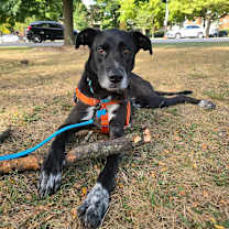 Thumbnail photo of Galina #1