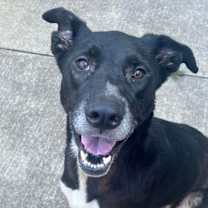 Thumbnail photo of Galina #2