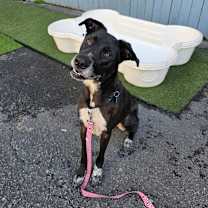 Thumbnail photo of Galina #3