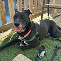 Thumbnail photo of Galina #4