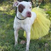 Thumbnail photo of Kate Hudson #4