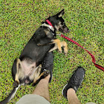 Thumbnail photo of Ranger #3