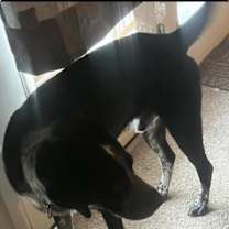 Thumbnail photo of JC #1