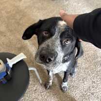 Thumbnail photo of JC #2