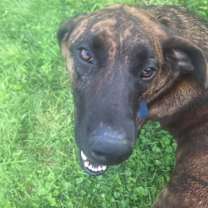 Thumbnail photo of Colonel #2