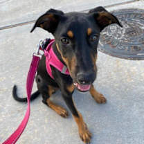 Thumbnail photo of Zenon FOSTER #2