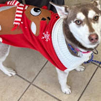 Thumbnail photo of Stormy #1