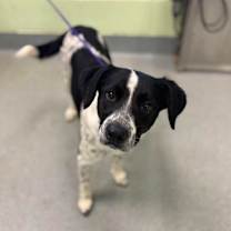 Thumbnail photo of Ally Mae #2