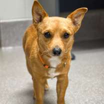 Thumbnail photo of Ted #3