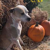 Thumbnail photo of Treasure #1