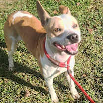 Thumbnail photo of Treasure #2