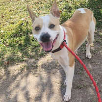 Thumbnail photo of Treasure #3