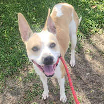 Thumbnail photo of Treasure #4